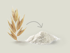Production Processes