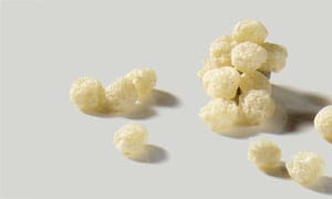 Wheat Rice Corn Crispy round