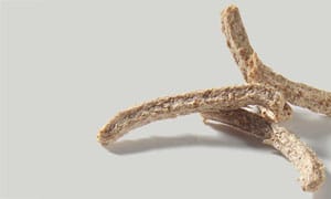 Wheatbran Sticks 5 - 7 mm