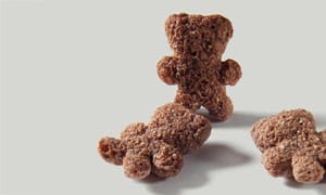 Cocoa Bears mini