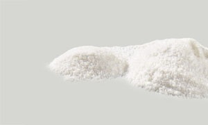 Pregelatinised Rice Flour