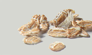 Rolled Spelt, large 420