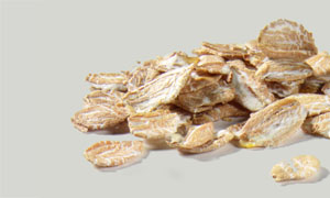 Rolled Rye, small 400