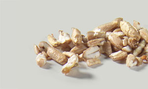 Rye Groats, hydrothermical treated