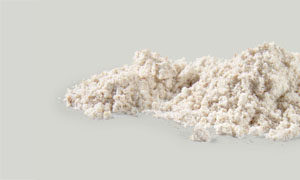 Whole Wheat Flour with Germ