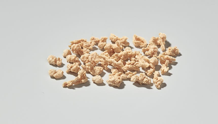 Soja Protein Texturat fein