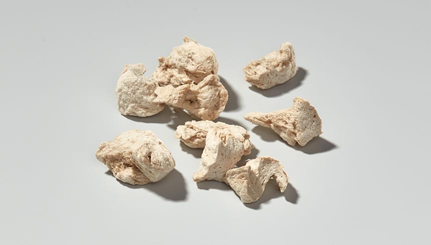 Sonnenblumen Protein Texturat grob 