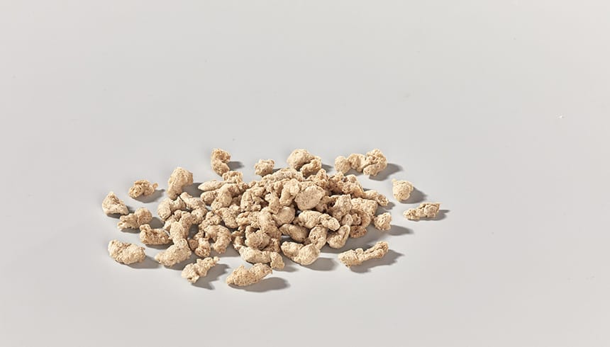 Sonnenblumen Protein Texturat mittel 