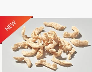 Texturised Proteins